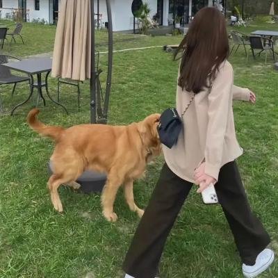 复合吧前任